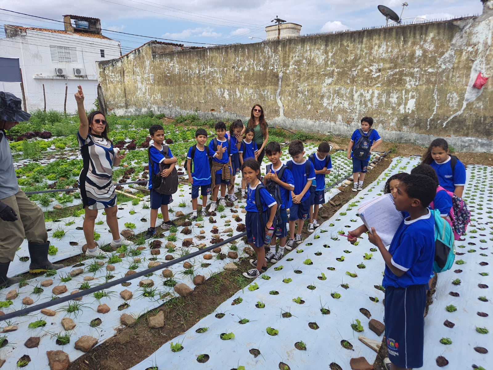 IMAGEM PRODUÇÃO DE ALIMENTOS